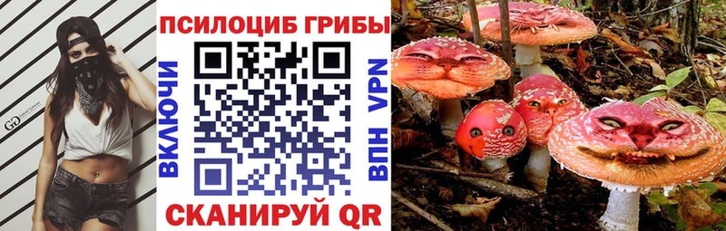 Псилоцибиновые грибы Magic Shrooms  Черногорск 